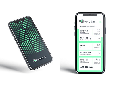Logo and Brand Identity Design for Volodar adobe illustrator app branding logo ui