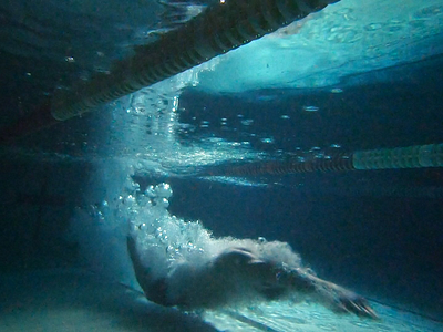 TheMagic5 branding sports tech swim swimmer swimming swimming goggles swimming pool themagic5