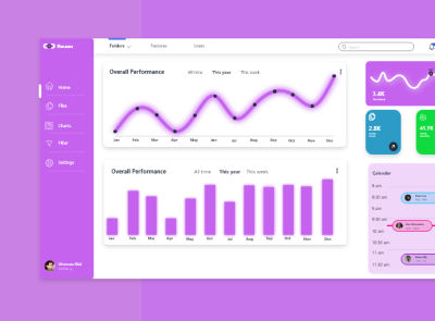 Dashboards website  /UIIUX Designer