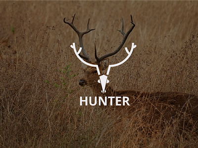 HUNTER Logo Design /Graphic Design