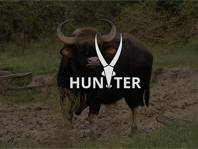 HUNTER Logo Design / Graphic Design