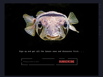 Daily Ui #026 - Subscribe