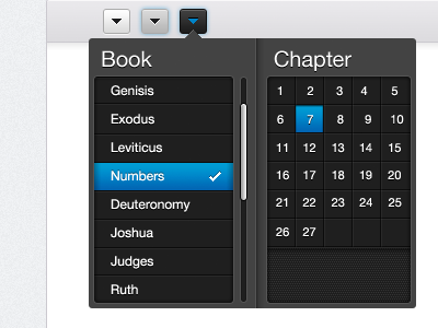 Book & Chapter Selector