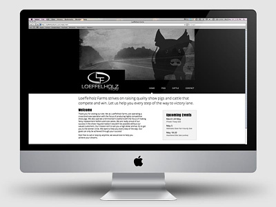 Website design web