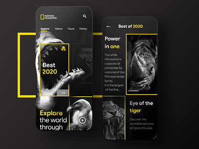 National geographic app concept animals appdesign illustration minimal mobile mobile ui national geographic rhino shark tiger uidesign