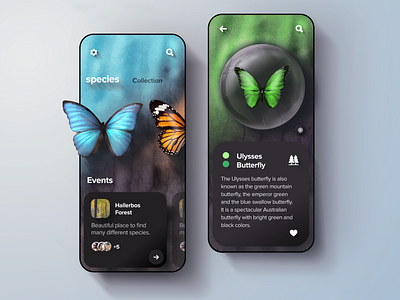 Buttterfly collection app concept butterfly design gradient illustration interactive mobile nature spices ui uidesign