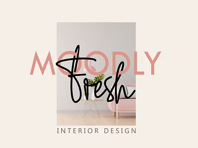 MOODLY Fresh Room Interior branding design font graphic design typography