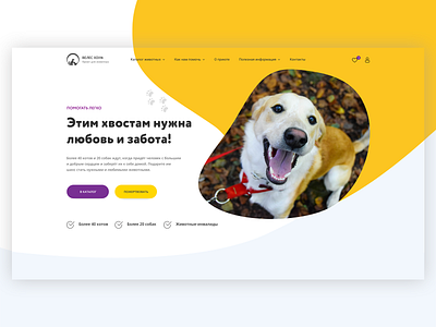 Website for local animal shelter animal shelter animals cat dog pet adoption pet rescue pets webdesign