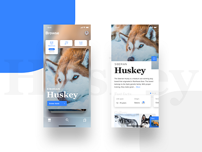 Huskey on Mobile clean ios minimal typography ui ux