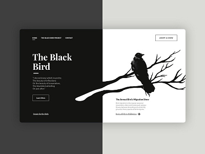 Landing Page - Daily Ui Challenge - Day 3 black and white dailyui 003 illustration landing page typography ui web design