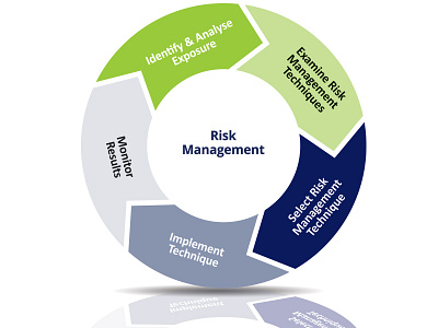 Risk Management concept consulting idea igor sandic illustrator indesign infographic photoshop tender documentation vector wheel wheel infographic