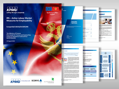 KPMG tender documentation design charts consulting graphic design graphics igor sandic infohraphics master template tender tender documentation design