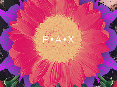 Pax (details 2) flower grunge leaf pax peace red typography vibrant yellow