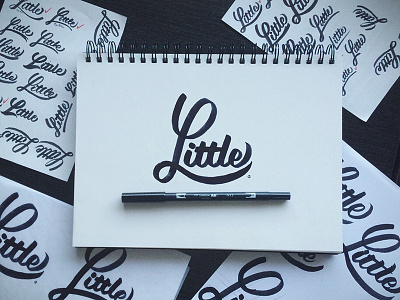 Little brush brushwork drawn hand lettering logo type