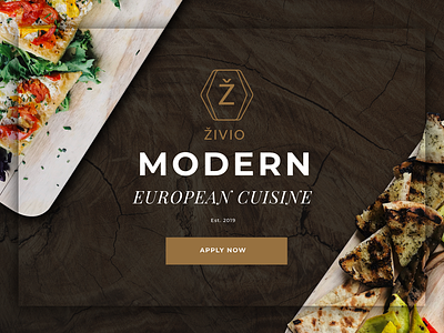 Zivio branding design logo ui web website