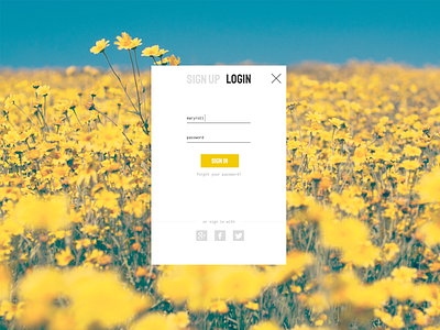 DailyUI 001 - Login concept dailyui dailyui 001 design digital login ui ux uidaily website