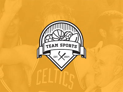 Team Sports