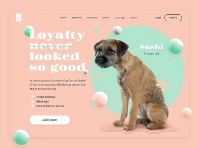 Day 3 - Landing Page border terrier dailyuichallenge landing page ui