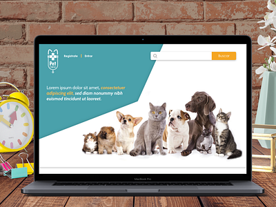 PetClinic sketch app ui design ux design web design