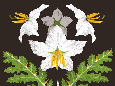 ★ Purification black botanical botany card deck flower green illustration leaves nature oracle plant print purification retro texture vintage white wild
