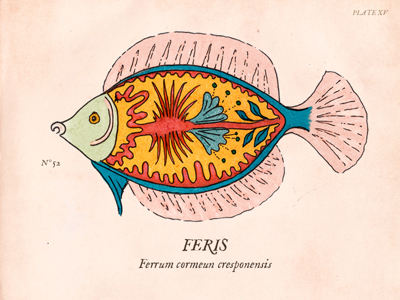 Ferrum cormeun cresponensis fakengravings botanical print antique fantastic ichthyology science anatomy fishes fish vintage illustration