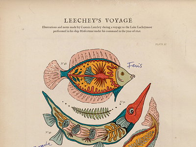 Fishes print anatomy antique book botanical fantastic fish fishes ichthyology illustration poster print science texture typography vintage