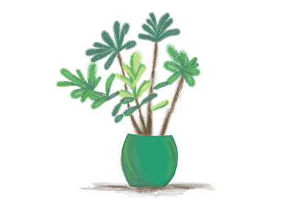 Pot Plant