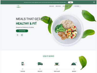 Healthy Food Website