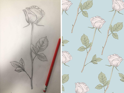 Rose hand drawn pattern rose