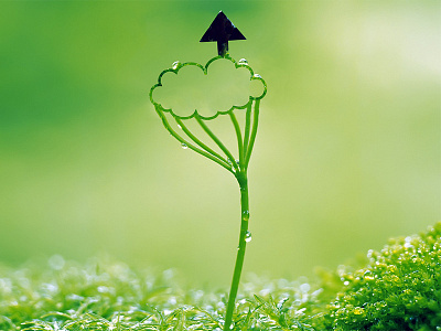 SUM Arrow Cloud Sprout green grow life logo manipulation photo plant