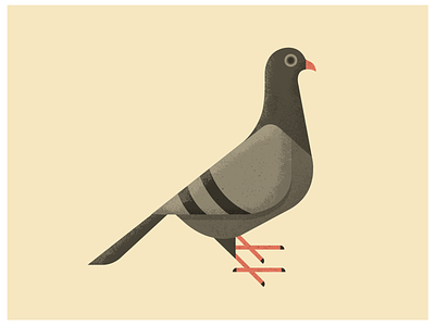 SF Pigeon aaron eiland bird design graphic design illustration pigeon san francisco vintage yellow