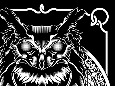 Owl illustration owl tshirt vector