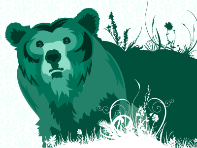 Bear Illustration design illustration vector