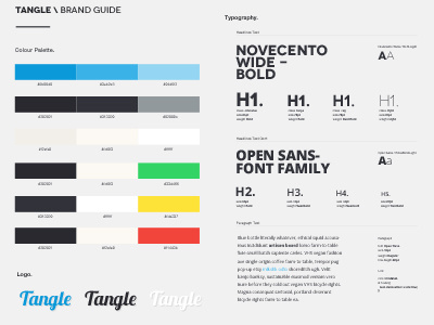 Tangle Brand Guide branding colour palette type