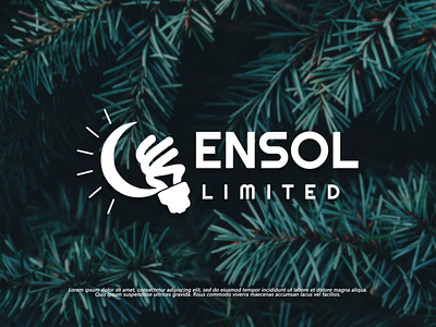 Logo Designed For "ENSOL" branding design graphic design illustration logo vector