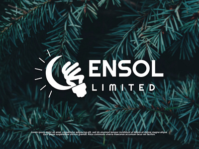 Logo Designed For "ENSOL"