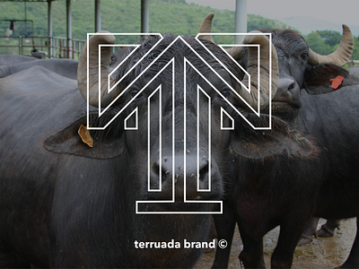 TERRUADA MARAJÓ