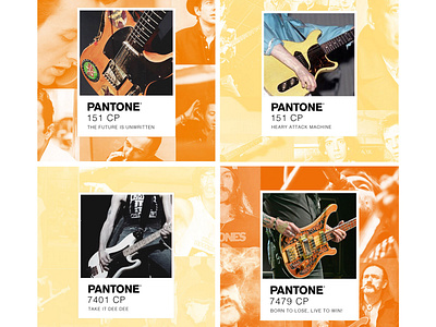 PUNX PANTONE SERIES