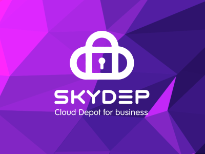 SkyDep business depot lock sky