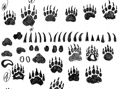 Claws and Effect bear bear paw claws dad joke grizzly icon identity logo pencil sketch