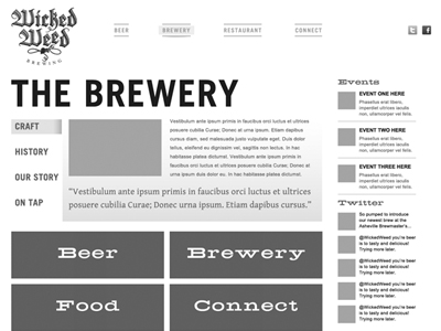 WWW 3 beer brewery hops web design wireframe