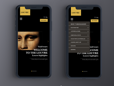 Louvre Museum Mobile app Concept