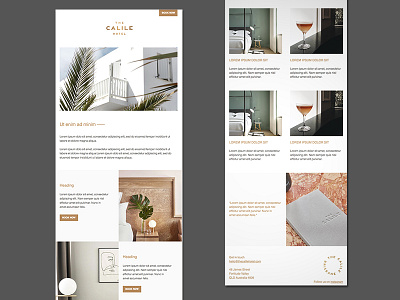 Responsive Email Template – The Calile Hotel branding design digital design email design hotel identity logo marketing minimal mobile tourism typography ui ux vector web website