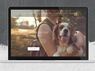 Landing Page Veterinary Clinic clean design signup simple ui website white