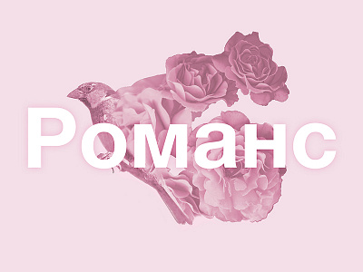 Romance 🌹 double exposure nightingale roses russian