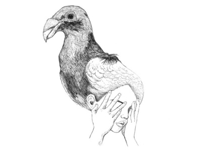 Darwin's Pigeon 1 art contemporary illustration copic drawing illustration ink