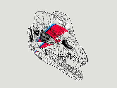 Dilophobowie animal david bowie dilophotosaurio dinosaurs extinct illustration procreate skull