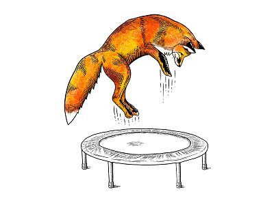 Jumping Fox animal fox funny illustration jumping procreate