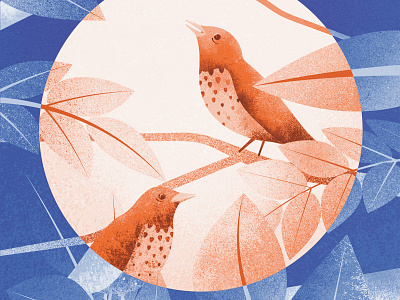 Morning on the tree birds clean design flat illustration illustrator minimal nature tree vector