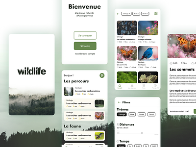 Wildlife - UX/UI design branding mobile app nature sprint design ui design ux design wildflife